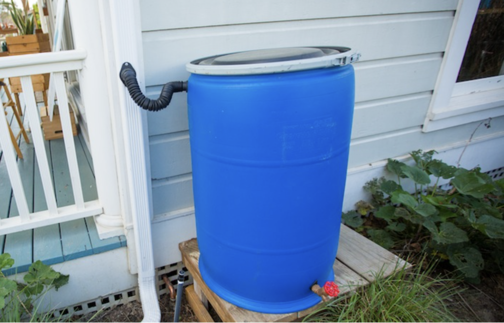 DIY Rain Barrel – O Centro de EcologiaDIY Rain Barrel – O Centro de Ecologia  