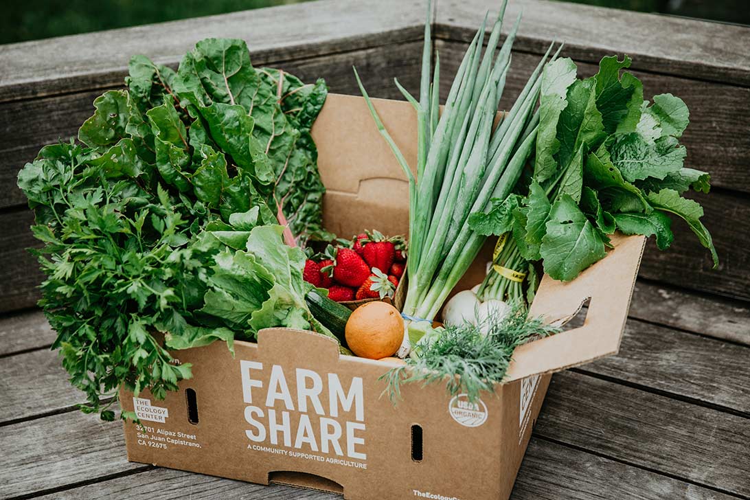 Box of fresh organic produce