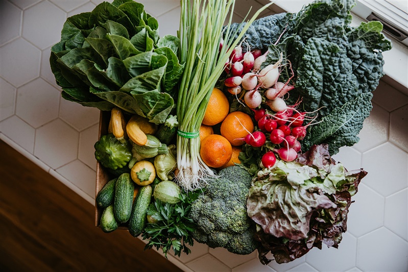 A Harvest Box on a countertop with a diverse selection of organic produce.