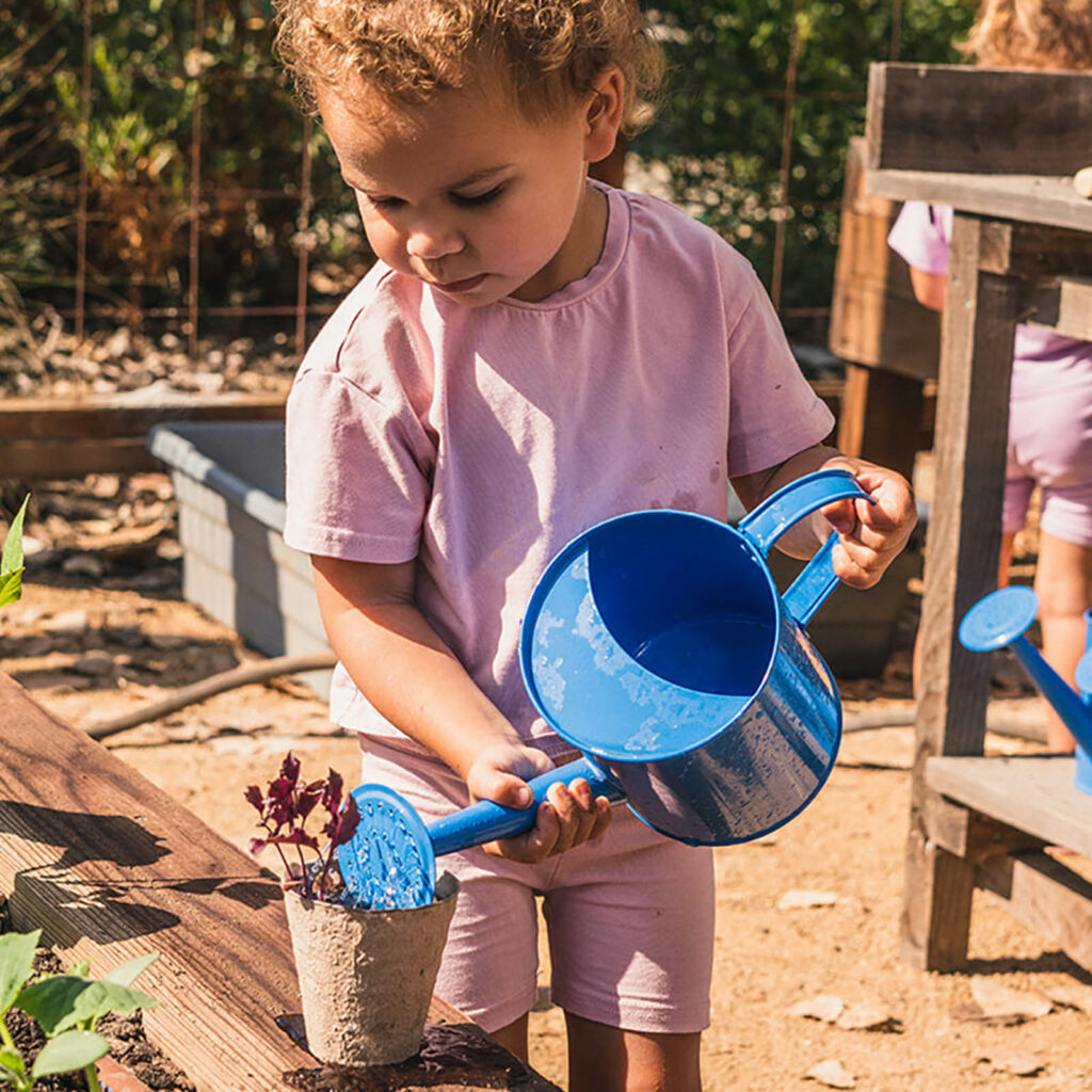 A child waters a small plant using a blue watering can.