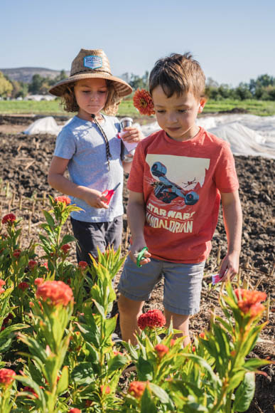 environmental science field trips near me