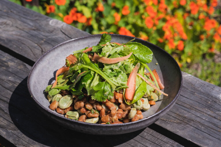 plate of farm beans and greens