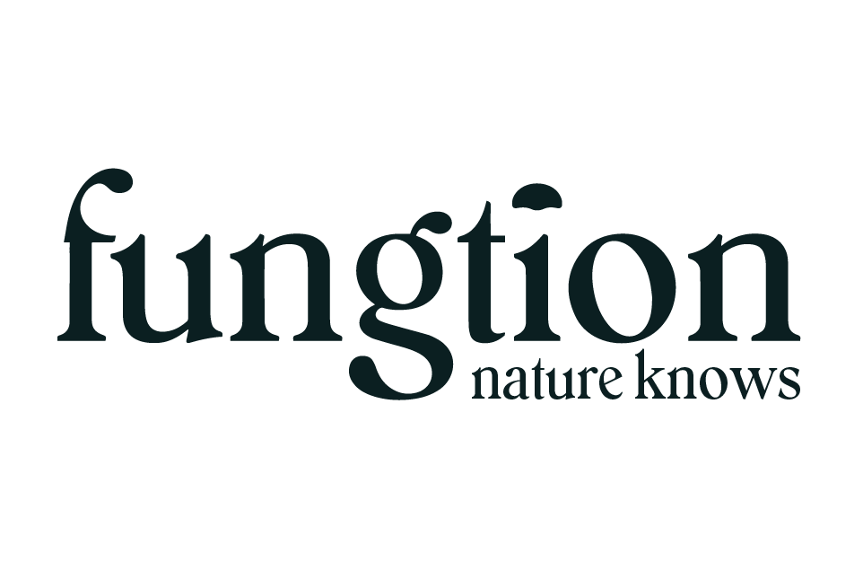 fungtion logo