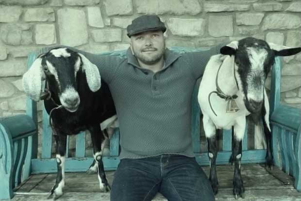Man sits on bench with goats.