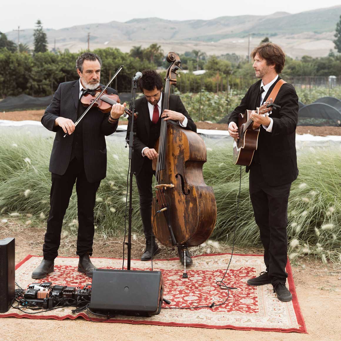 Three musicians in suits stand in the farm fields playing string instruments.